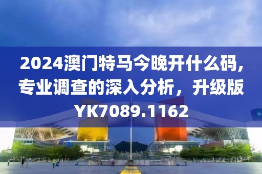 2024澳门特马今晚开什么码,专业调查的深入分析，升级版YK7089.1162