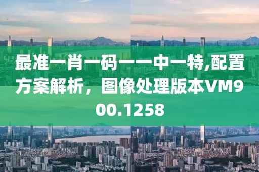 最准一肖一码一一中一特,配置方案解析，图像处理版本VM900.1258