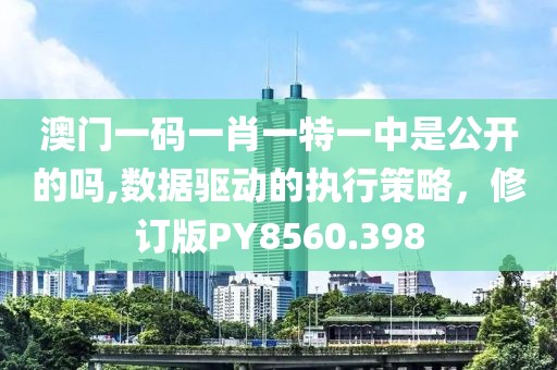 澳门一码一肖一特一中是公开的吗,数据驱动的执行策略，修订版PY8560.398