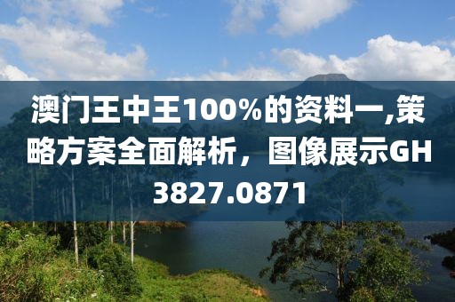澳门王中王100%的资料一,策略方案全面解析，图像展示GH3827.0871