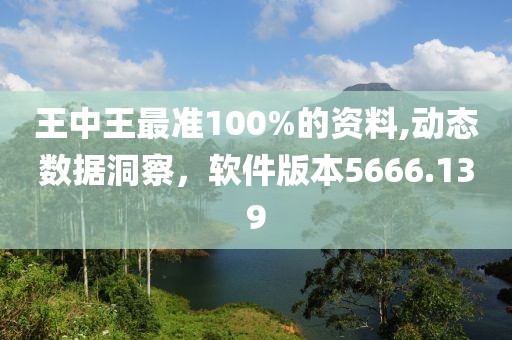王中王最准100%的资料,动态数据洞察，软件版本5666.139