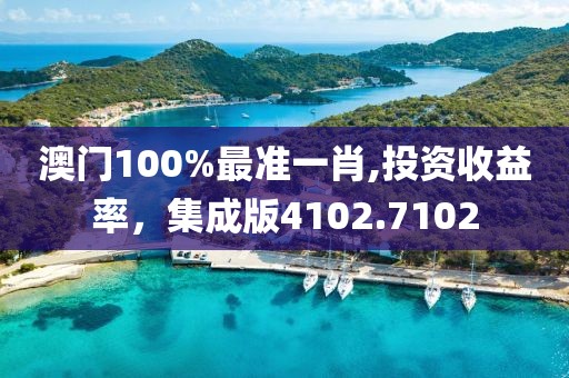 澳门100%最准一肖,投资收益率，集成版4102.7102