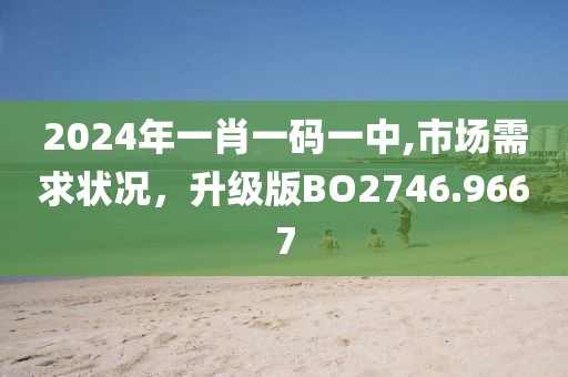 2024年一肖一码一中,市场需求状况，升级版BO2746.9667
