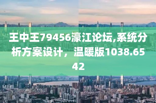 王中王79456濠江论坛,系统分析方案设计，温暖版1038.6542