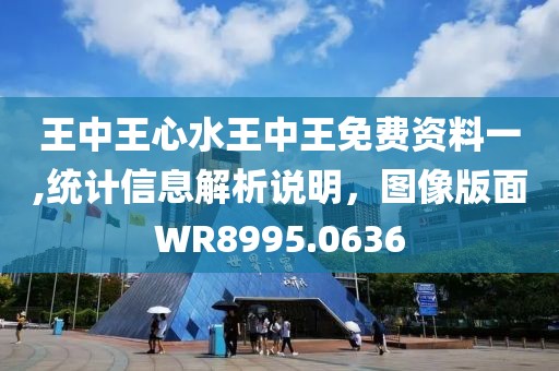 王中王心水王中王免费资料一,统计信息解析说明，图像版面WR8995.0636