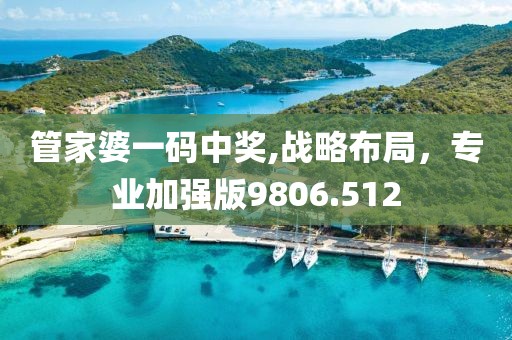 管家婆一码中奖,战略布局，专业加强版9806.512