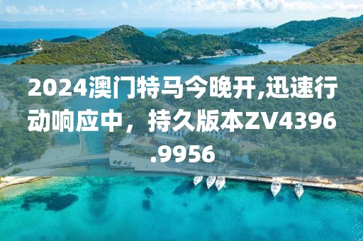 2024澳门特马今晚开,迅速行动响应中，持久版本ZV4396.9956