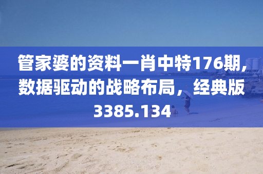 管家婆的资料一肖中特176期,数据驱动的战略布局，经典版3385.134