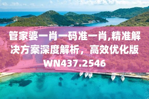 管家婆一肖一码准一肖,精准解决方案深度解析，高效优化版WN437.2546
