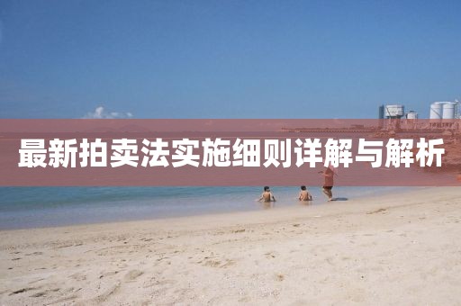 最新拍卖法实施细则详解与解析