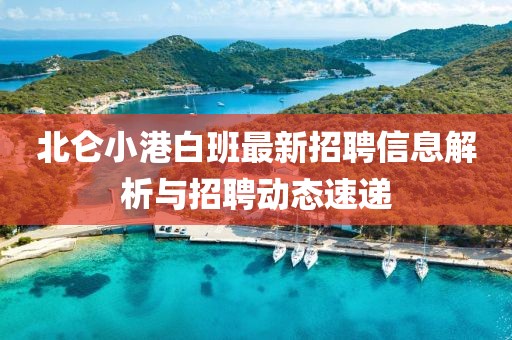 北仑小港白班最新招聘信息解析与招聘动态速递
