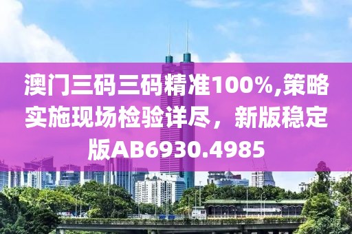 澳门三码三码精准100%,策略实施现场检验详尽，新版稳定版AB6930.4985