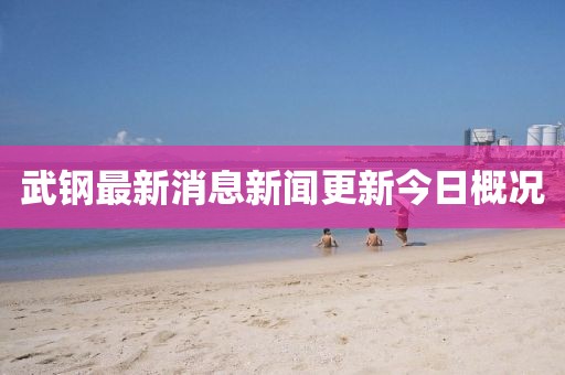 武钢最新消息新闻更新今日概况