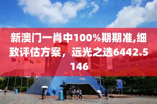 新澳门一肖中100%期期准,细致评估方案，远光之选6442.5146