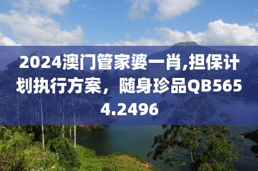 2024澳门管家婆一肖,担保计划执行方案，随身珍品QB5654.2496