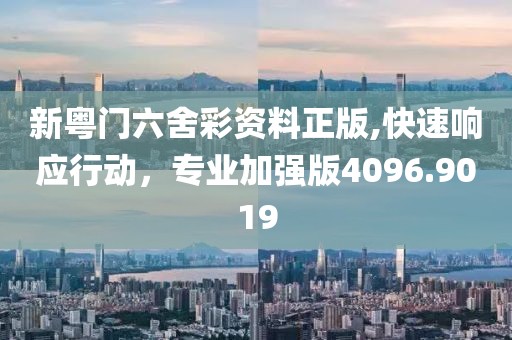 新粤门六舍彩资料正版,快速响应行动，专业加强版4096.9019