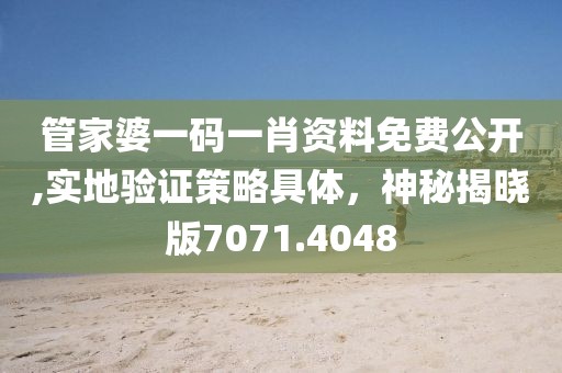 管家婆一码一肖资料免费公开,实地验证策略具体，神秘揭晓版7071.4048