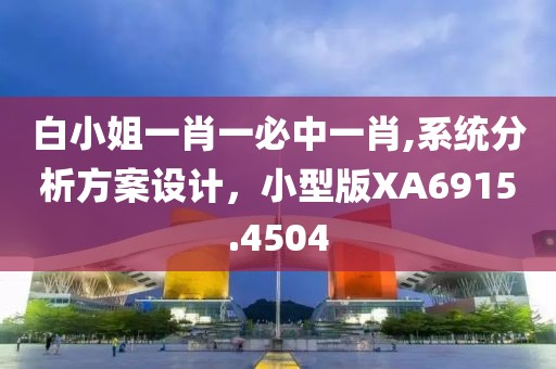 白小姐一肖一必中一肖,系统分析方案设计，小型版XA6915.4504