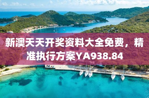 新澳天天开奖资料大全免费，精准执行方案YA938.84