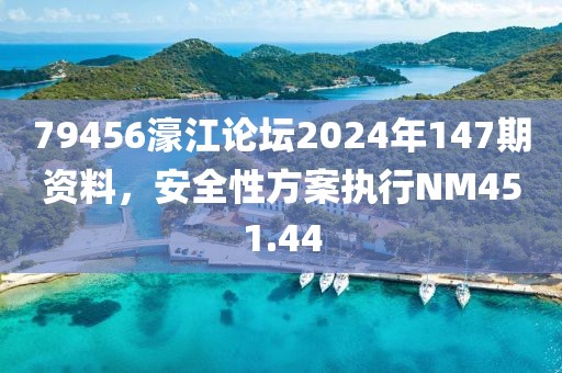 79456濠江论坛2024年147期资料，安全性方案执行NM451.44