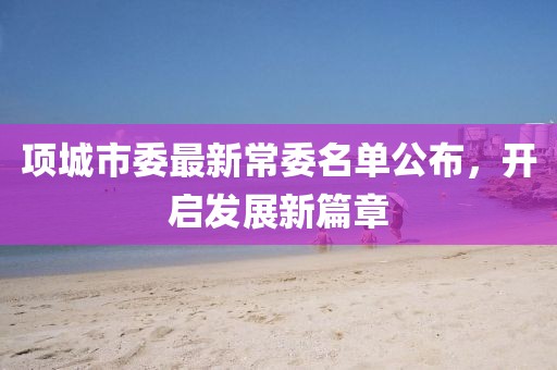 项城市委最新常委名单公布，开启发展新篇章