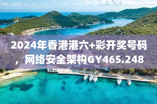 2024年香港港六+彩开奖号码，网络安全架构GY465.248