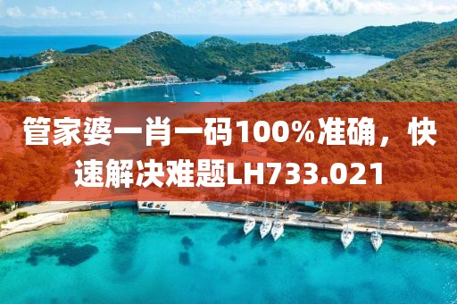 管家婆一肖一码100%准确，快速解决难题LH733.021