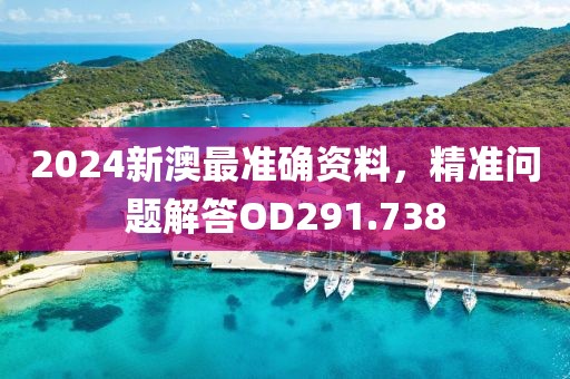 2024新澳最准确资料，精准问题解答OD291.738