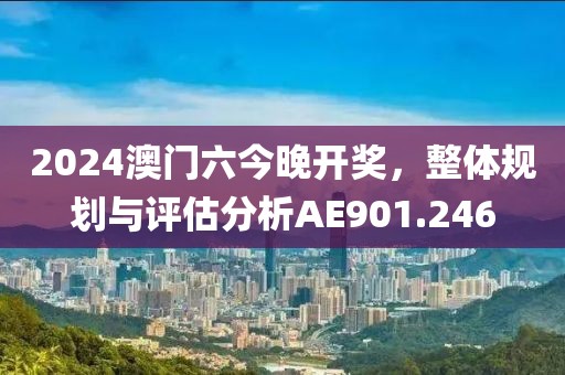 2024澳门六今晚开奖，整体规划与评估分析AE901.246