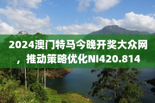 2024澳门特马今晚开奖大众网，推动策略优化NI420.814