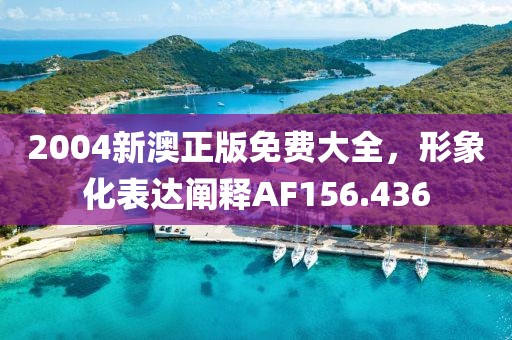 2004新澳正版免费大全，形象化表达阐释AF156.436