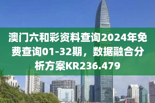 澳门六和彩资料查询2024年免费查询01-32期，数据融合分析方案KR236.479