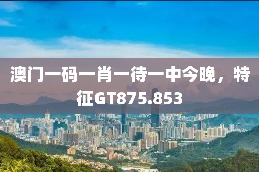 澳门一码一肖一待一中今晚，特征GT875.853