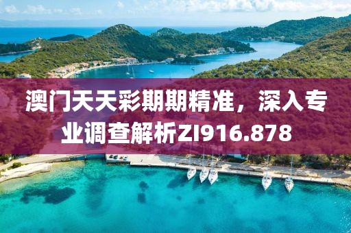 澳门天天彩期期精准，深入专业调查解析ZI916.878