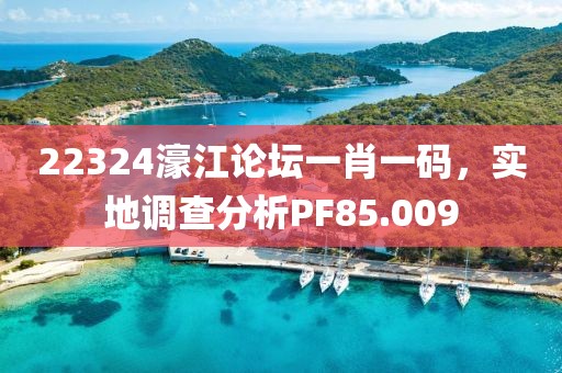 22324濠江论坛一肖一码，实地调查分析PF85.009