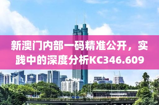 新澳门内部一码精准公开，实践中的深度分析KC346.609