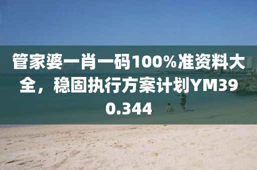 管家婆一肖一码100%准资料大全，稳固执行方案计划YM390.344