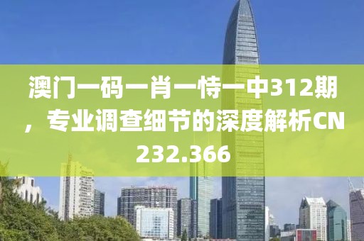 澳门一码一肖一恃一中312期，专业调查细节的深度解析CN232.366