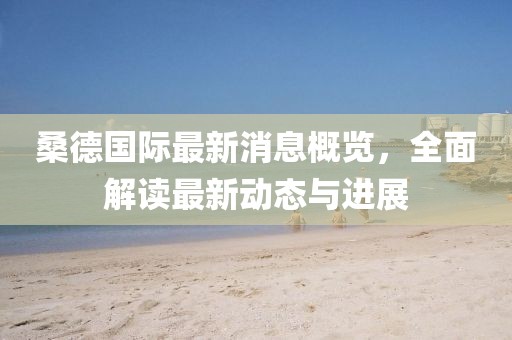 桑德国际最新消息概览，全面解读最新动态与进展
