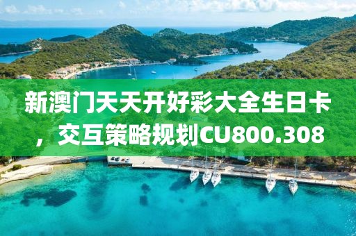 新澳门天天开好彩大全生日卡，交互策略规划CU800.308