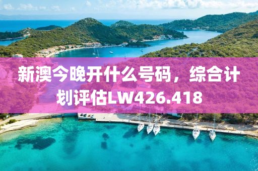 新澳今晚开什么号码，综合计划评估LW426.418