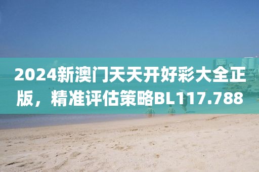 2024新澳门天天开好彩大全正版，精准评估策略BL117.788