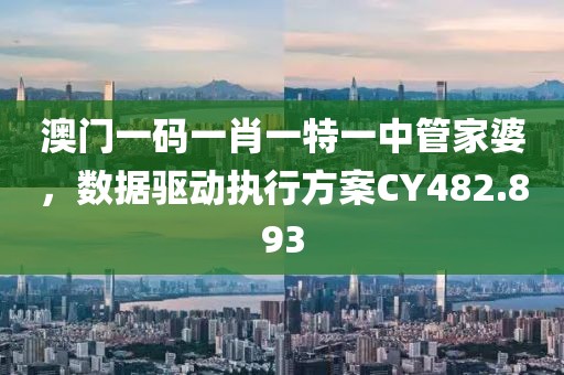 澳门一码一肖一特一中管家婆，数据驱动执行方案CY482.893