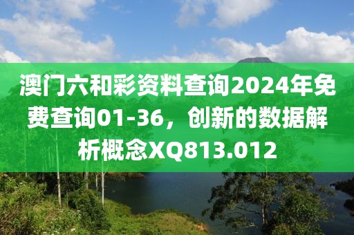 澳门六和彩资料查询2024年免费查询01-36，创新的数据解析概念XQ813.012