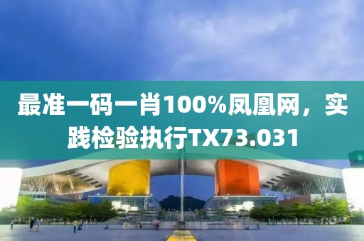 最准一码一肖100%凤凰网，实践检验执行TX73.031
