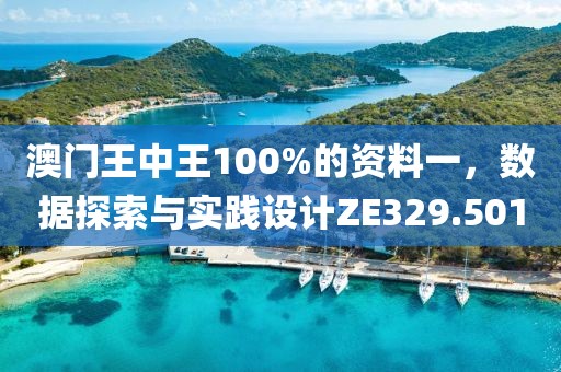 澳门王中王100%的资料一，数据探索与实践设计ZE329.501
