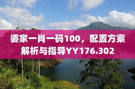 婆家一肖一码100，配置方案解析与指导YY176.302