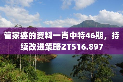 管家婆的资料一肖中特46期，持续改进策略ZT516.897