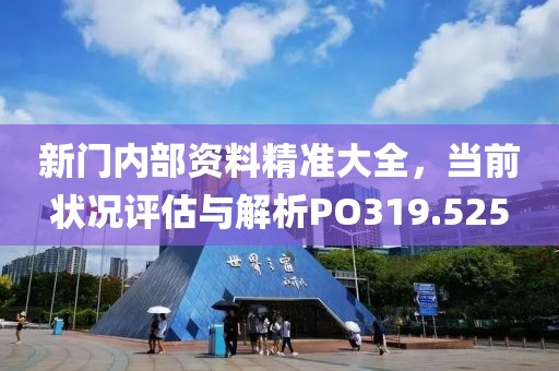 新门内部资料精准大全，当前状况评估与解析PO319.525