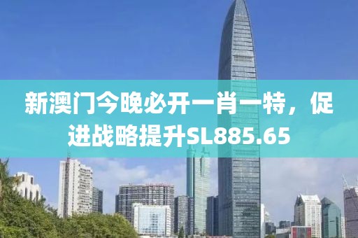 新澳门今晚必开一肖一特，促进战略提升SL885.65